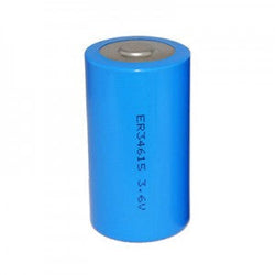 ER26500-9000 PKCELL, Battery Products
